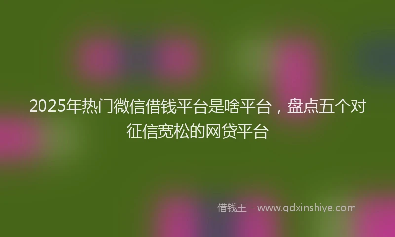 2025年热门微信借钱平台是啥平台，盘点五个对征信宽松的网贷平台
