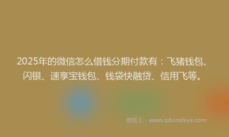 2025年的微信怎么借钱分期付款有：飞猪钱包、闪银、速享宝钱包、钱袋快融贷、信用飞等。