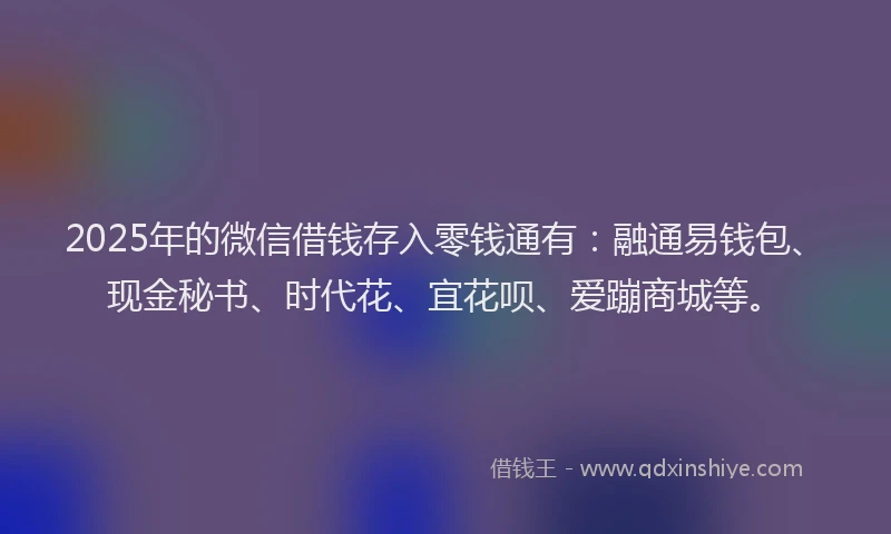 2025年的微信借钱存入零钱通有：融通易钱包、现金秘书、时代花、宜花呗、爱蹦商城等。