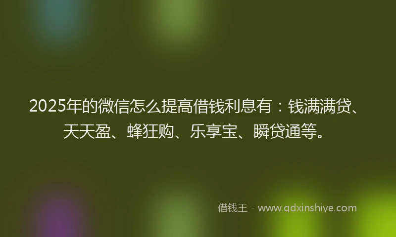 2025年的微信怎么提高借钱利息有：钱满满贷、天天盈、蜂狂购、乐享宝、瞬贷通等。