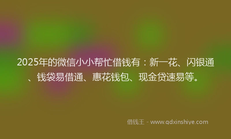 2025年的微信小小帮忙借钱有：新一花、闪银通、钱袋易借通、惠花钱包、现金贷速易等。
