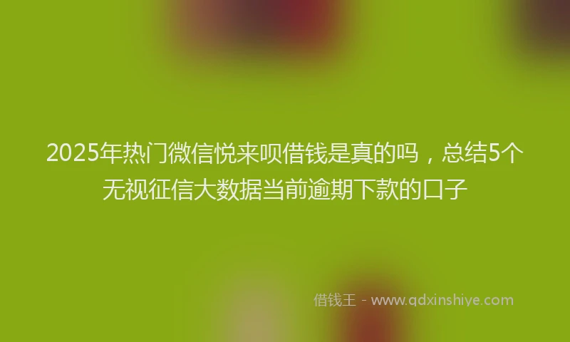 2025年热门微信悦来呗借钱是真的吗，总结5个无视征信大数据当前逾期下款的口子