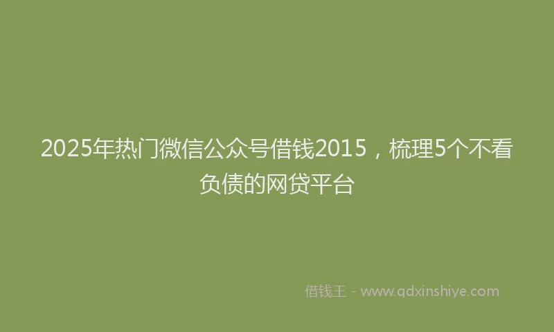 2025年热门微信公众号借钱2015，梳理5个不看负债的网贷平台