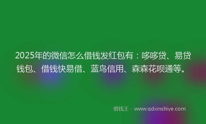 2025年的微信怎么借钱发红包有：哆哆贷、易贷钱包、借钱快易借、蓝鸟信用、森森花呗通等。