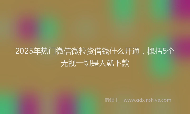 2025年热门微信微粒货借钱什么开通，概括5个无视一切是人就下款