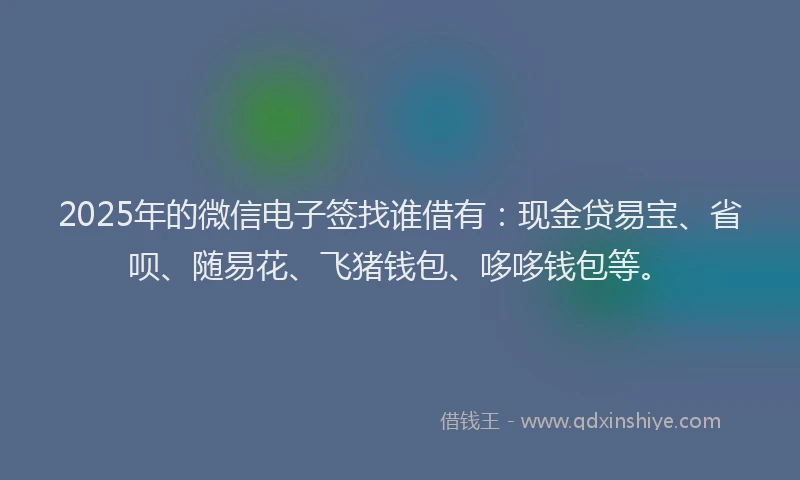 2025年的微信电子签找谁借有：现金贷易宝、省呗、随易花、飞猪钱包、哆哆钱包等。