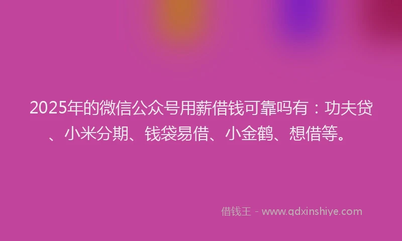 2025年的微信公众号用薪借钱可靠吗有：功夫贷、小米分期、钱袋易借、小金鹤、想借等。