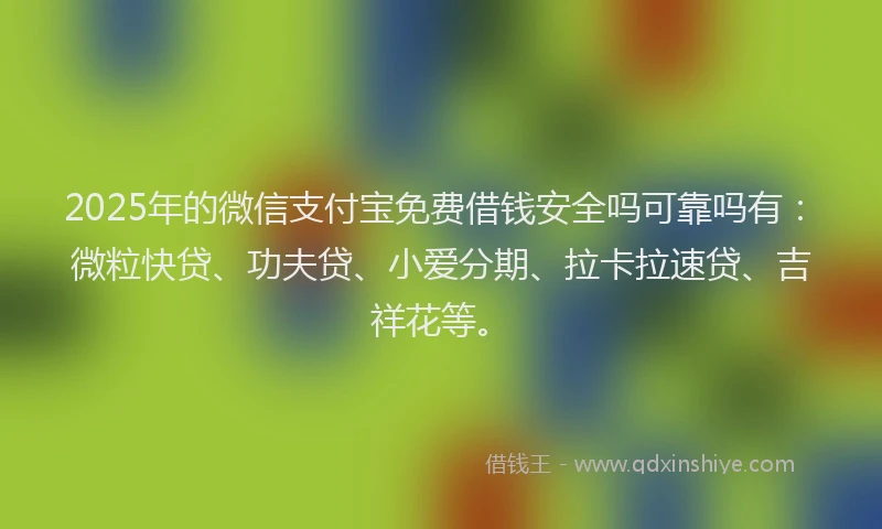 2025年的微信支付宝免费借钱安全吗可靠吗有：微粒快贷、功夫贷、小爱分期、拉卡拉速贷、吉祥花等。