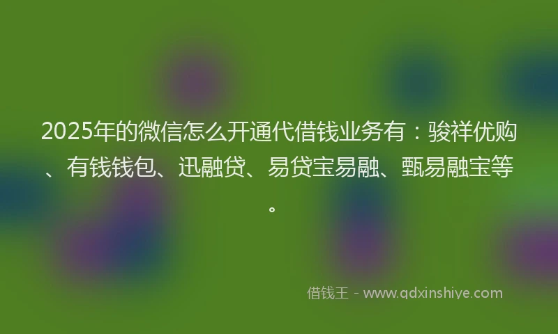 2025年的微信怎么开通代借钱业务有：骏祥优购、有钱钱包、迅融贷、易贷宝易融、甄易融宝等。