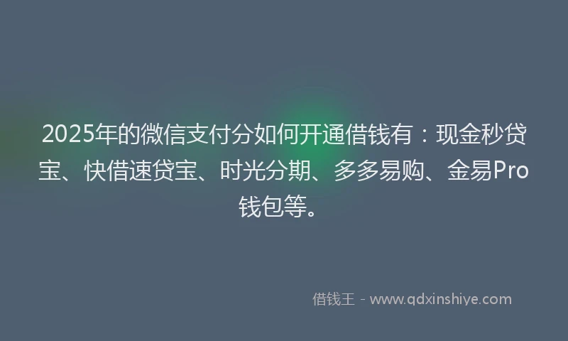 2025年的微信支付分如何开通借钱有：现金秒贷宝、快借速贷宝、时光分期、多多易购、金易Pro钱包等。