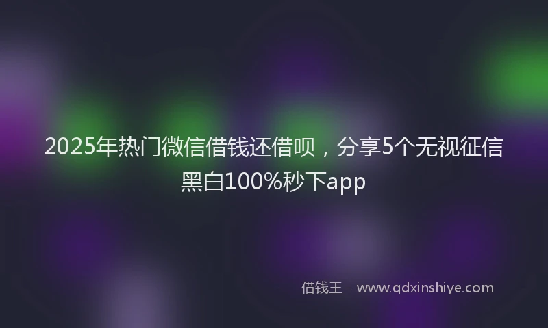 2025年热门微信借钱还借呗，分享5个无视征信黑白100%秒下app