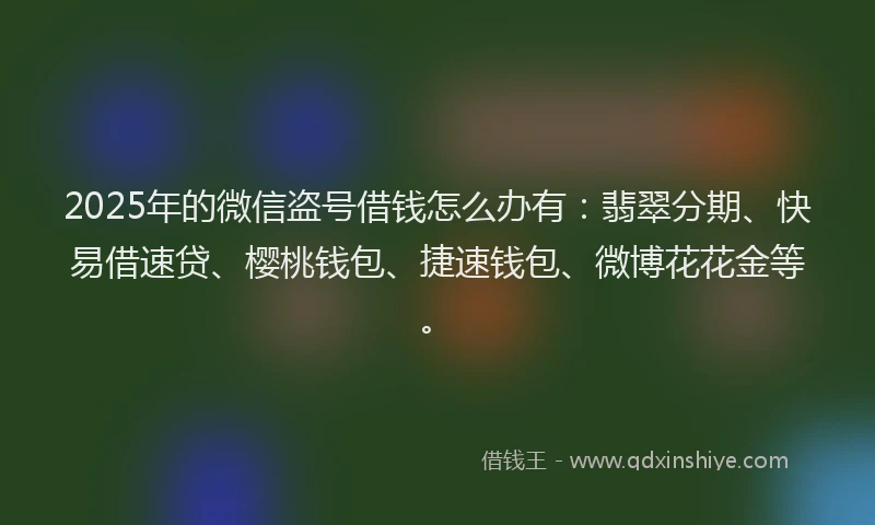 2025年的微信盗号借钱怎么办有：翡翠分期、快易借速贷、樱桃钱包、捷速钱包、微博花花金等。