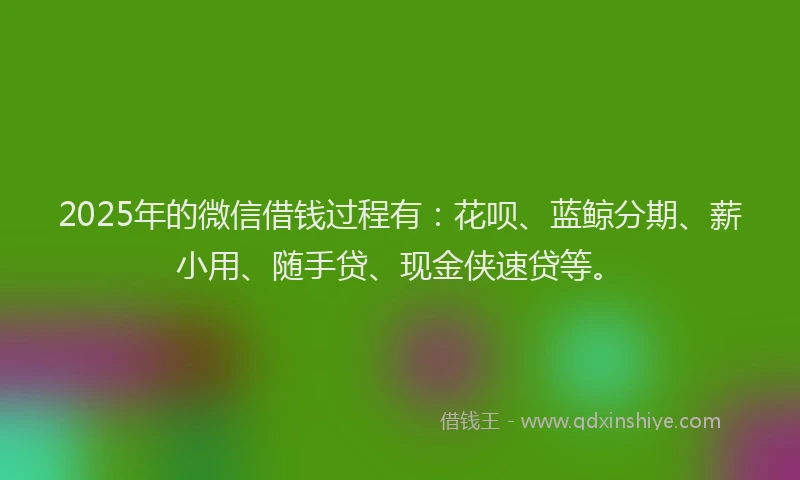 2025年的微信借钱过程有：花呗、蓝鲸分期、薪小用、随手贷、现金侠速贷等。
