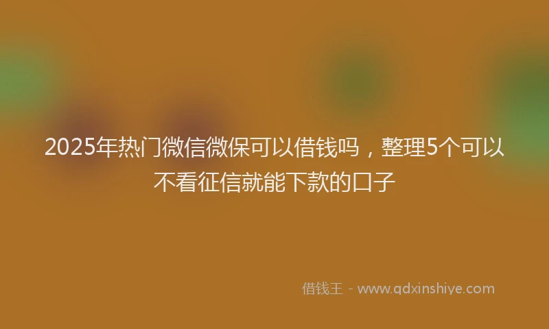 2025年热门微信微保可以借钱吗，整理5个可以不看征信就能下款的口子