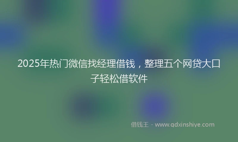 2025年热门微信找经理借钱，整理五个网贷大口子轻松借软件