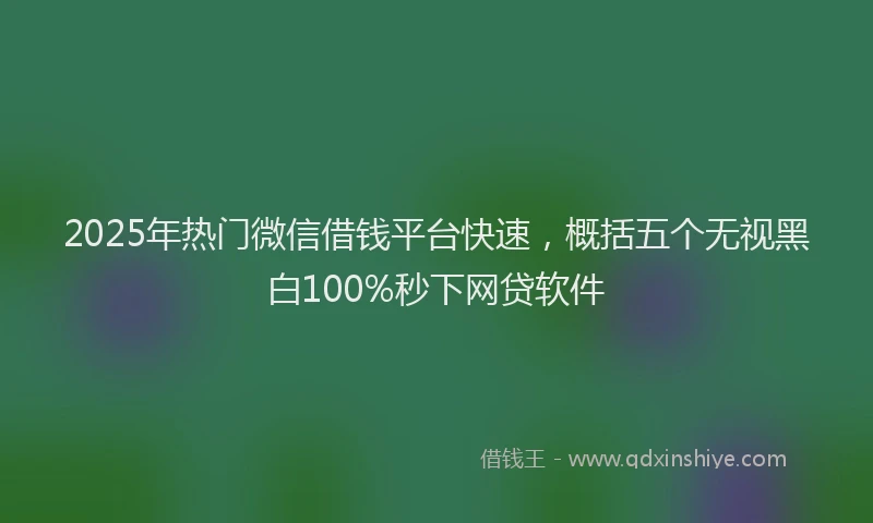 2025年热门微信借钱平台快速，概括五个无视黑白100%秒下网贷软件
