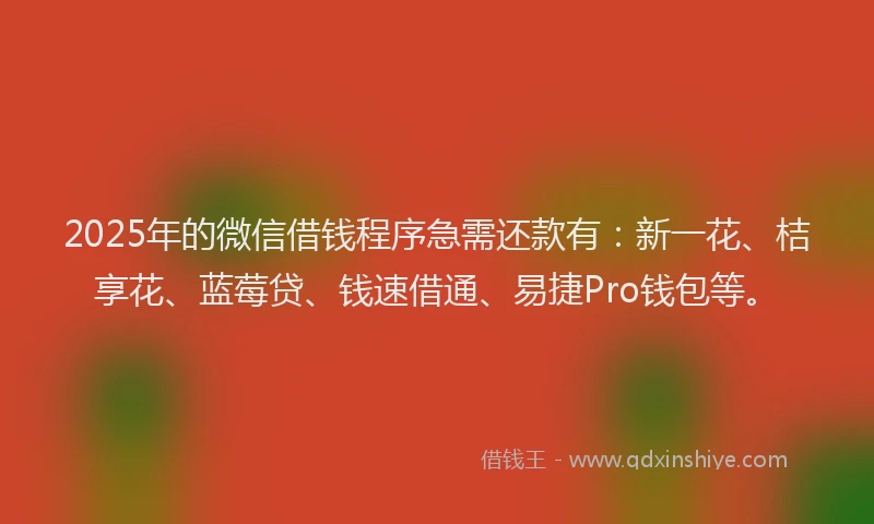 2025年的微信借钱程序急需还款有：新一花、桔享花、蓝莓贷、钱速借通、易捷Pro钱包等。