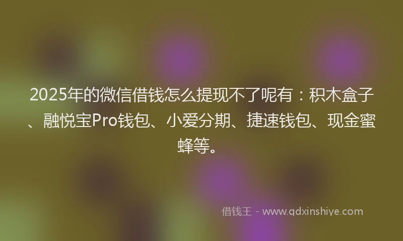 2025年的微信借钱怎么提现不了呢有：积木盒子、融悦宝Pro钱包、小爱分期、捷速钱包、现金蜜蜂等。