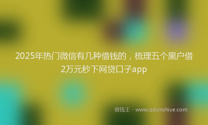 2025年热门微信有几种借钱的，梳理五个黑户借2万元秒下网贷口子app