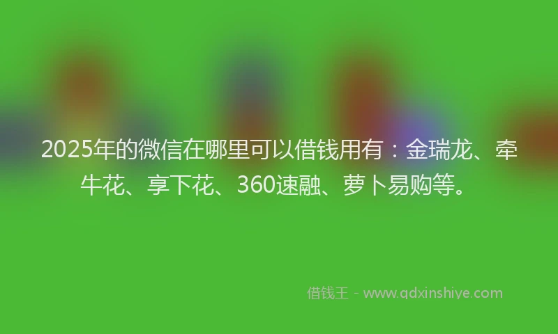 2025年的微信在哪里可以借钱用有：金瑞龙、牵牛花、享下花、360速融、萝卜易购等。