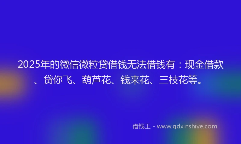 2025年的微信微粒贷借钱无法借钱有：现金借款、贷你飞、葫芦花、钱来花、三枝花等。