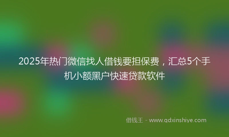 2025年热门微信找人借钱要担保费，汇总5个手机小额黑户快速贷款软件
