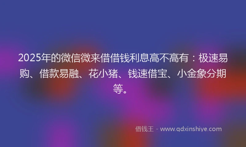 2025年的微信微来借借钱利息高不高有：极速易购、借款易融、花小猪、钱速借宝、小金象分期等。