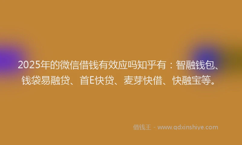 2025年的微信借钱有效应吗知乎有：智融钱包、钱袋易融贷、首E快贷、麦芽快借、快融宝等。