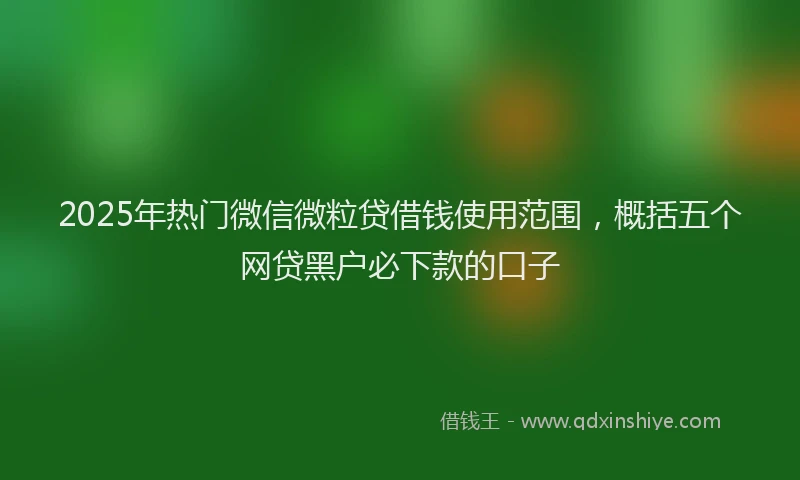 2025年热门微信微粒贷借钱使用范围，概括五个网贷黑户必下款的口子