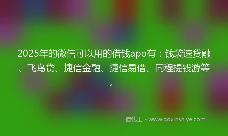 2025年的微信可以用的借钱apo有：钱袋速贷融、飞鸟贷、捷信金融、捷信易借、同程提钱游等。