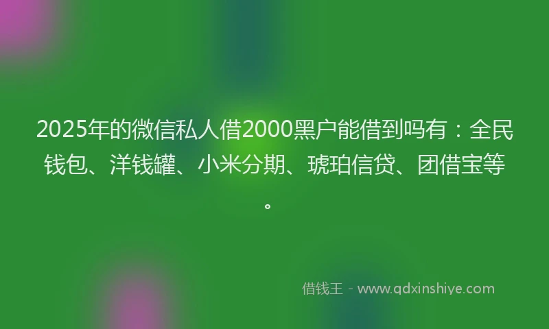 2025年的微信私人借2000黑户能借到吗有：全民钱包、洋钱罐、小米分期、琥珀信贷、团借宝等。