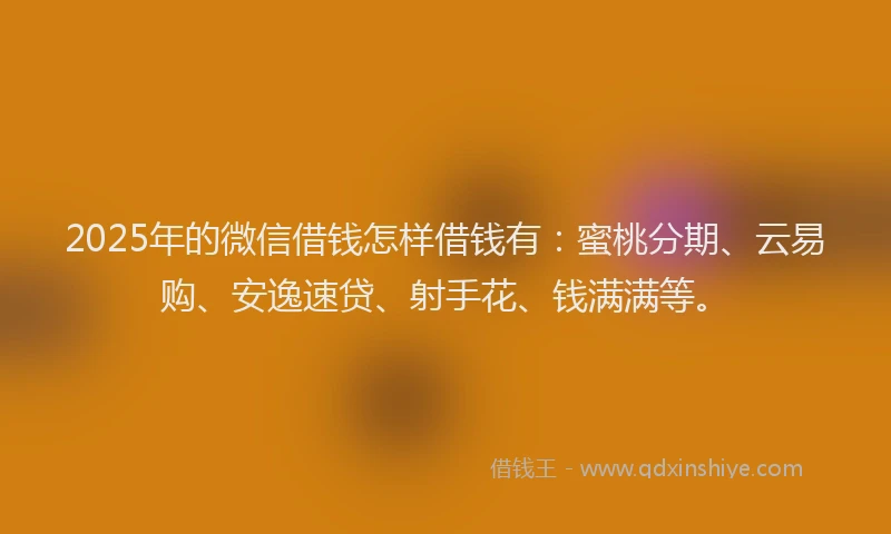 2025年的微信借钱怎样借钱有：蜜桃分期、云易购、安逸速贷、射手花、钱满满等。