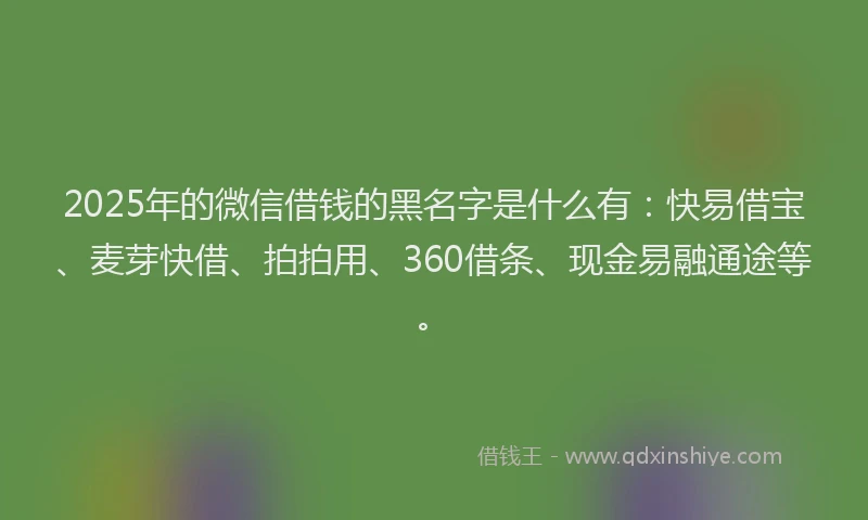 2025年的微信借钱的黑名字是什么有：快易借宝、麦芽快借、拍拍用、360借条、现金易融通途等。