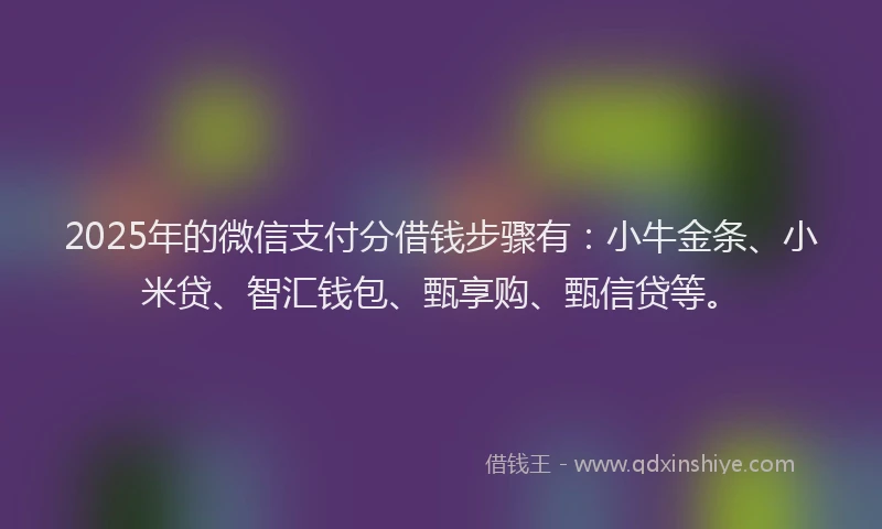 2025年的微信支付分借钱步骤有：小牛金条、小米贷、智汇钱包、甄享购、甄信贷等。