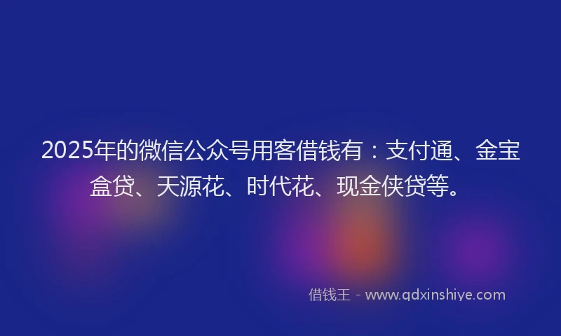 2025年的微信公众号用客借钱有：支付通、金宝盒贷、天源花、时代花、现金侠贷等。