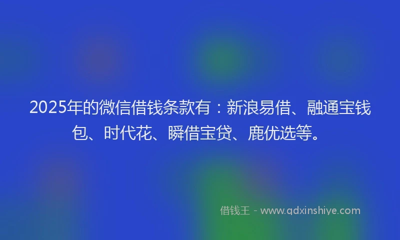 2025年的微信借钱条款有：新浪易借、融通宝钱包、时代花、瞬借宝贷、鹿优选等。