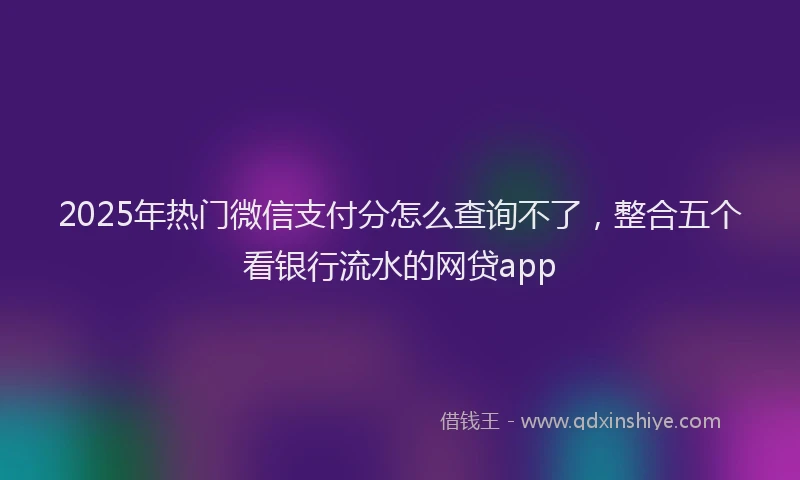 2025年热门微信支付分怎么查询不了，整合五个看银行流水的网贷app