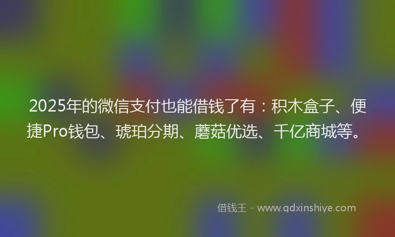 2025年的微信支付也能借钱了有：积木盒子、便捷Pro钱包、琥珀分期、蘑菇优选、千亿商城等。
