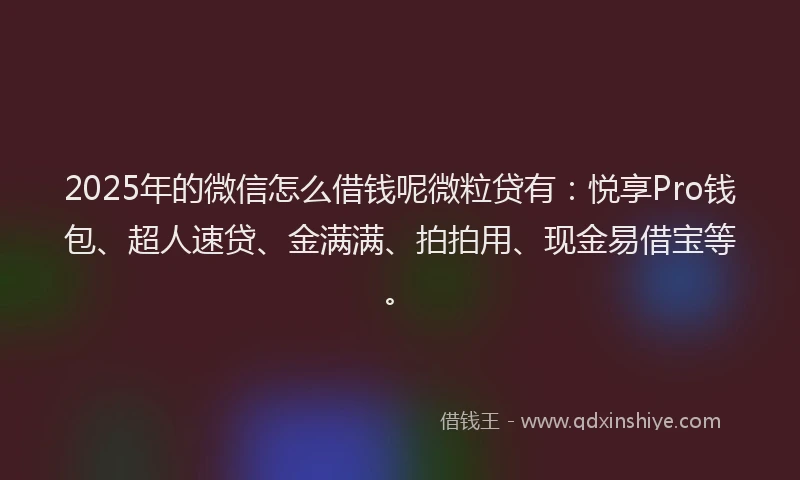 2025年的微信怎么借钱呢微粒贷有：悦享Pro钱包、超人速贷、金满满、拍拍用、现金易借宝等。