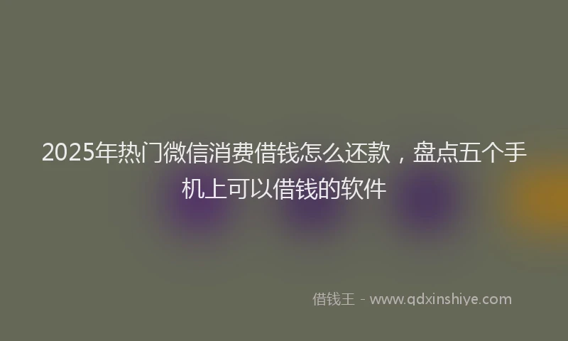 2025年热门微信消费借钱怎么还款，盘点五个手机上可以借钱的软件