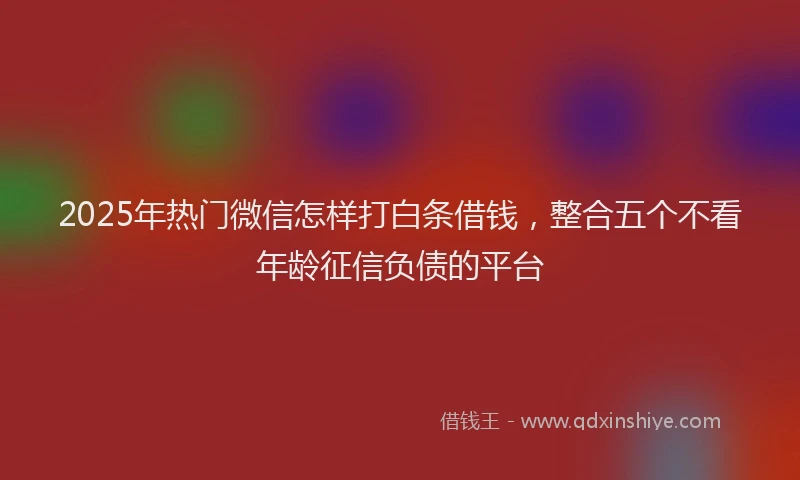 2025年热门微信怎样打白条借钱，整合五个不看年龄征信负债的平台