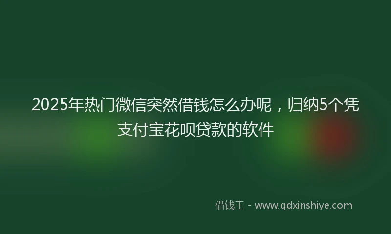 2025年热门微信突然借钱怎么办呢，归纳5个凭支付宝花呗贷款的软件