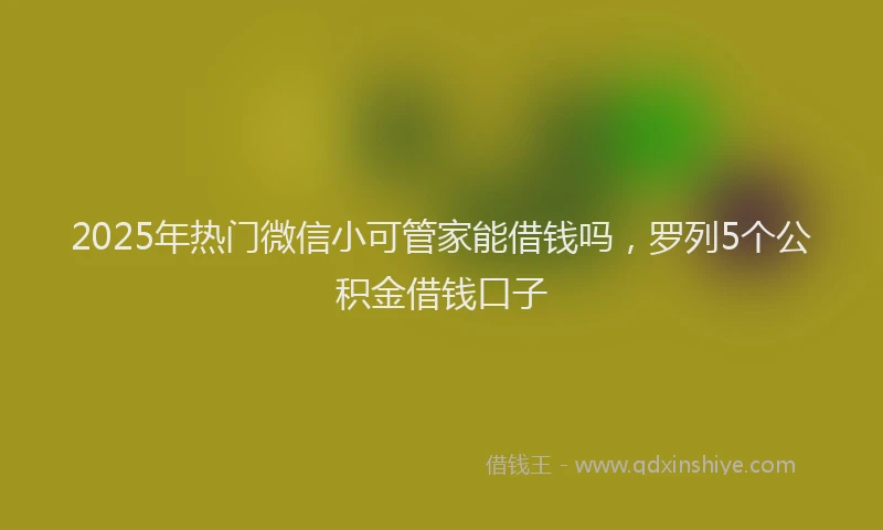2025年热门微信小可管家能借钱吗，罗列5个公积金借钱口子