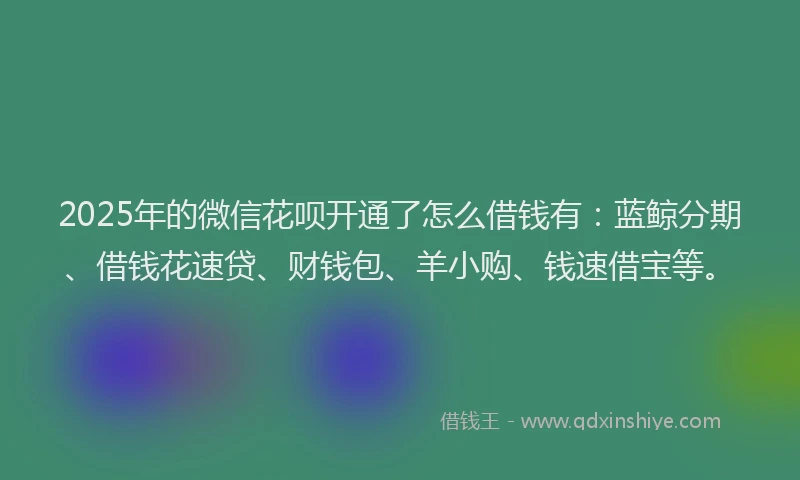 2025年的微信花呗开通了怎么借钱有：蓝鲸分期、借钱花速贷、财钱包、羊小购、钱速借宝等。