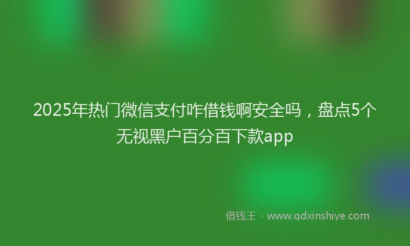 2025年热门微信支付咋借钱啊安全吗，盘点5个无视黑户百分百下款app