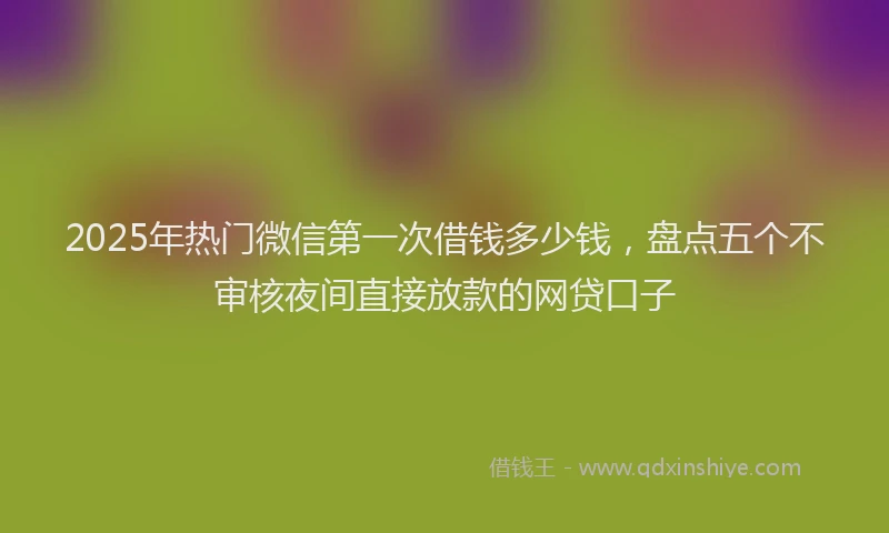 2025年热门微信第一次借钱多少钱，盘点五个不审核夜间直接放款的网贷口子
