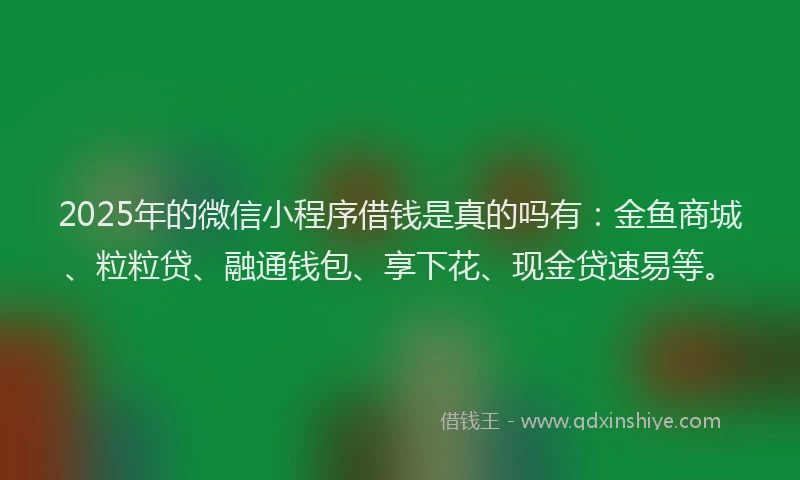 2025年的微信小程序借钱是真的吗有：金鱼商城、粒粒贷、融通钱包、享下花、现金贷速易等。
