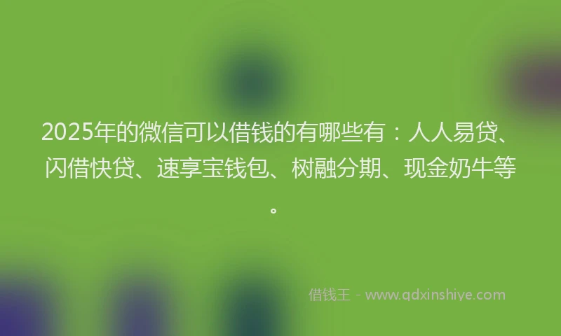 2025年的微信可以借钱的有哪些有：人人易贷、闪借快贷、速享宝钱包、树融分期、现金奶牛等。