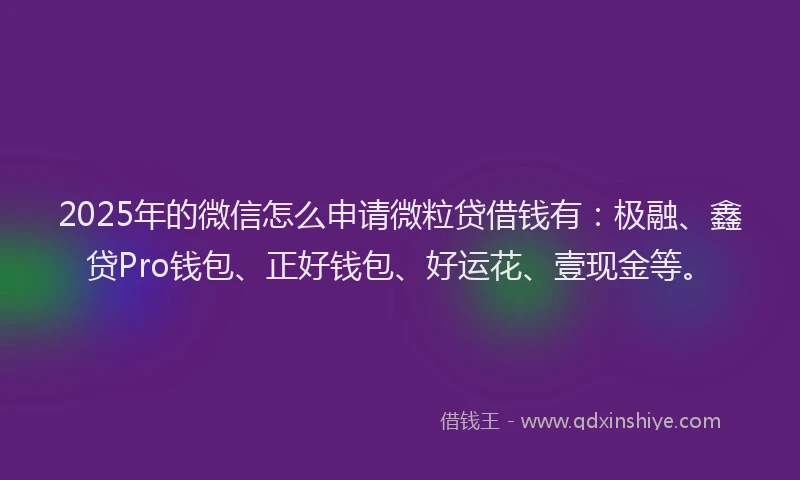 2025年的微信怎么申请微粒贷借钱有：极融、鑫贷Pro钱包、正好钱包、好运花、壹现金等。