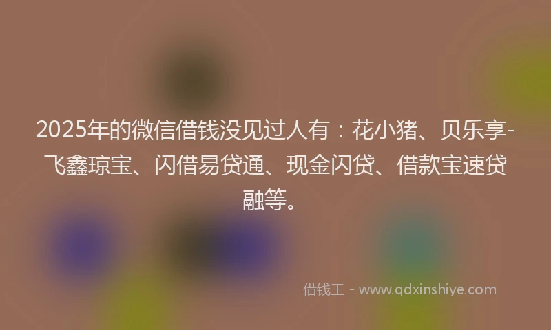 2025年的微信借钱没见过人有：花小猪、贝乐享-飞鑫琼宝、闪借易贷通、现金闪贷、借款宝速贷融等。